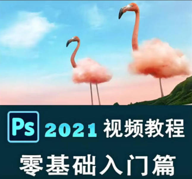 绳探长ps2021零基础入门＋精通【画质高清只有视频】