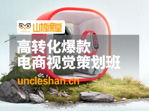 大圣高转化·爆款视觉策划班—电商爆款视觉公式