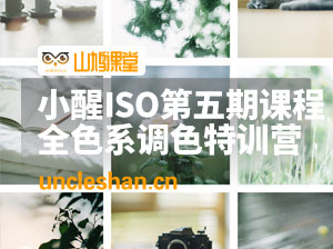 小醒ISO第五期网络课程+全色系调色特训营