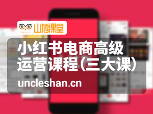 小红书电商高级运营课程：基础入驻篇+商城流量运营+笔记流量运营