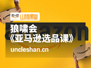 狼啸会《亚马逊选品课》