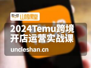 2024Temu跨境开店运营实战课，开店注册/选品/核价上架