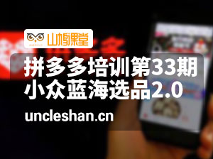 拼多多培训第33期：小众蓝海选品2.0技术-蓝海选品实操！