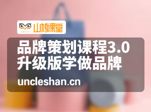品牌策划-体系课程3.0升级版，品牌体系学习，简单学做品牌