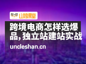跨境电商怎样选爆品，独立站建站实战