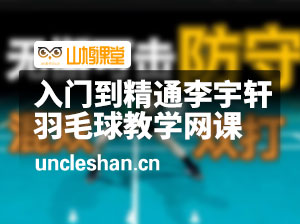 入门到精通李宇轩羽毛球教学网课