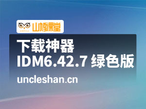 下载神器：Internet Download Manager 6.42.7 绿色特别版 (IDM)