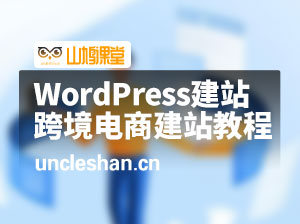 WordPress建站从入门到精通，跨境电商建站教程