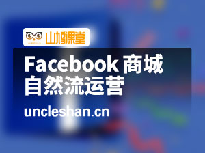 2024Facebook 商城自然流(从入门到精通)，玩转脸书商城全闭环