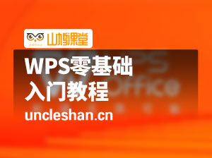 WPS零基础入门教程