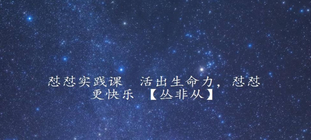 怼怼实践课 活出生命力，怼怼更快乐