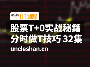 《股票T+0实战秘籍》分时做T技巧 共32集