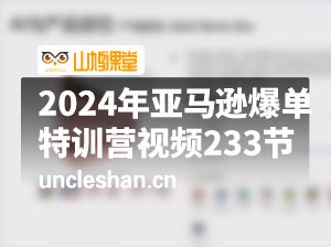 2024年亚马逊爆单特训营视频233节