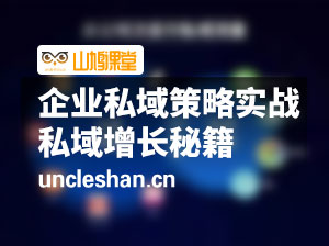 企业私域策略实战课 你不知道的私域增长秘籍